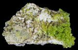 Pyromorphite Crystal Cluster - China #63703-3